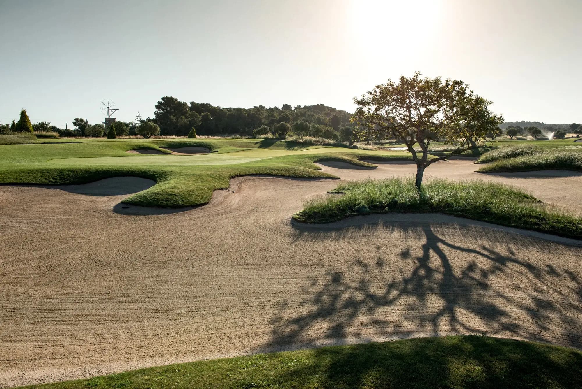 Son Gual, Palma - 20% – bild 2